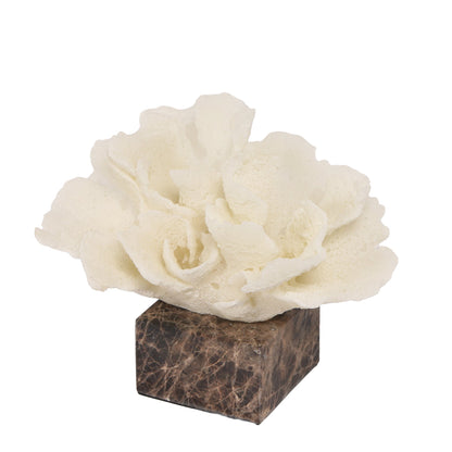 Coral Marble Sculpture - Beige