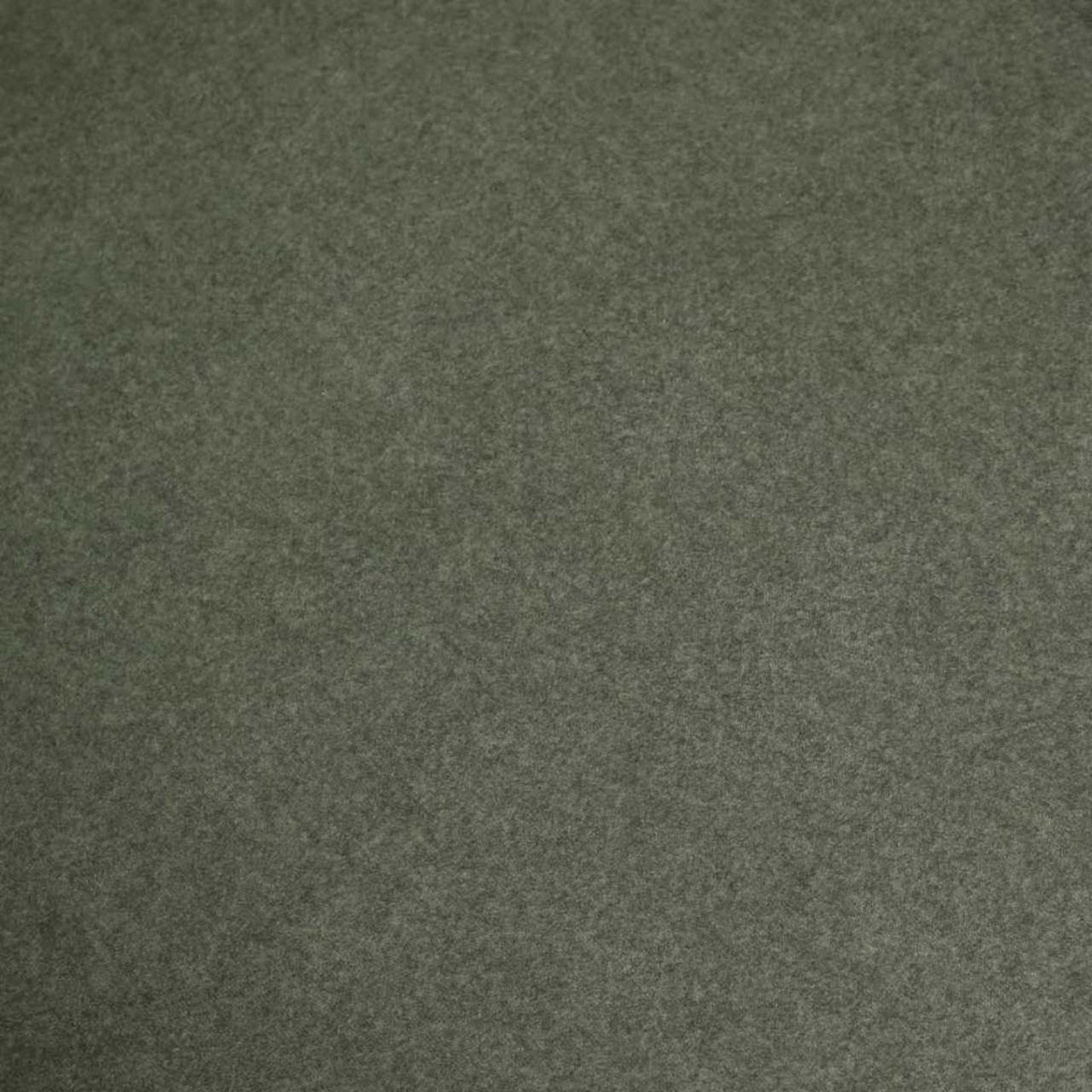 CDC12013-FH Black Dining Chair - Dark Moss Green (Set of 2)