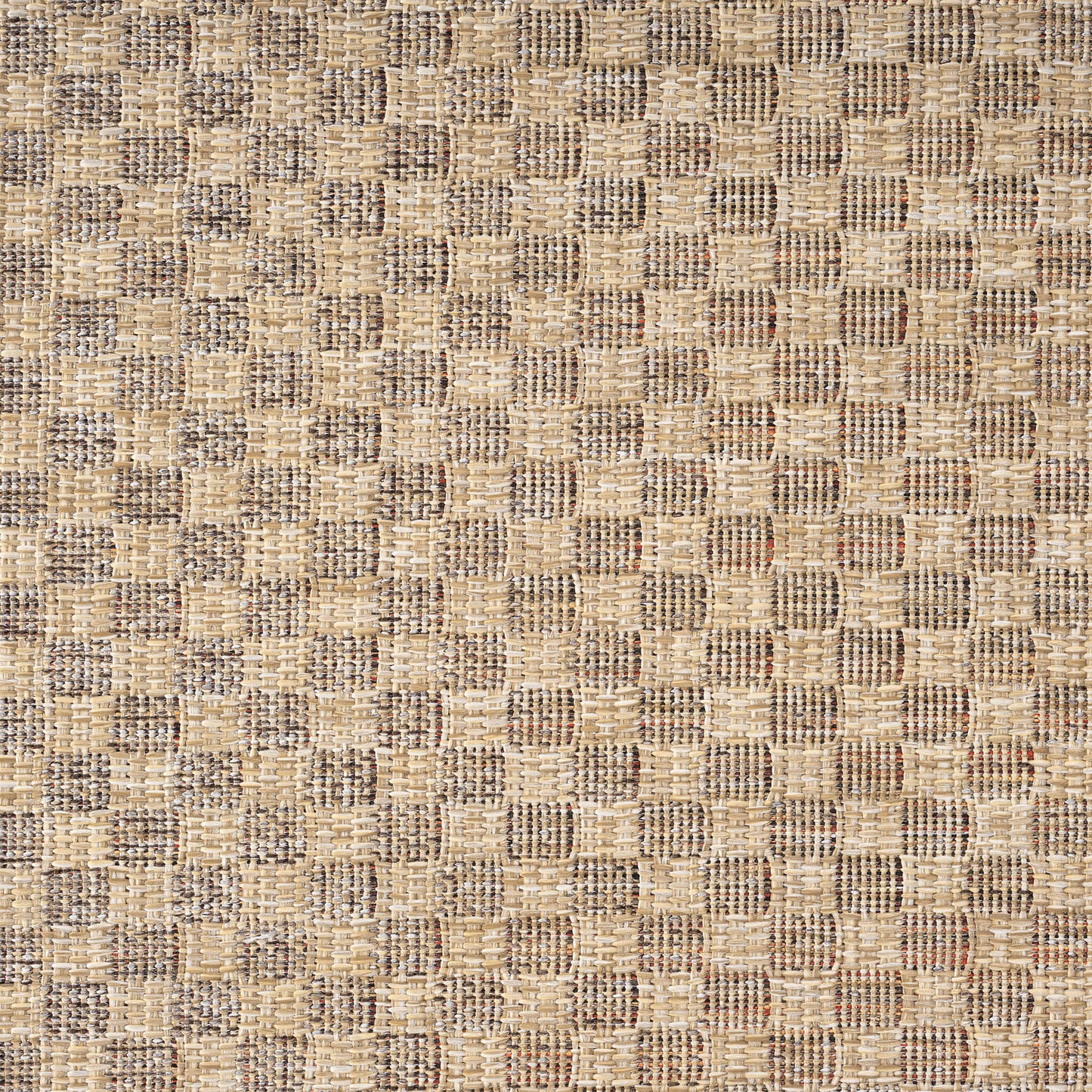 Park 565 Taupe Rectangle Rug